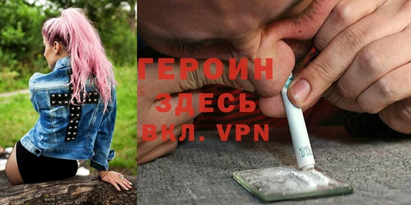 ешки Новодвинск